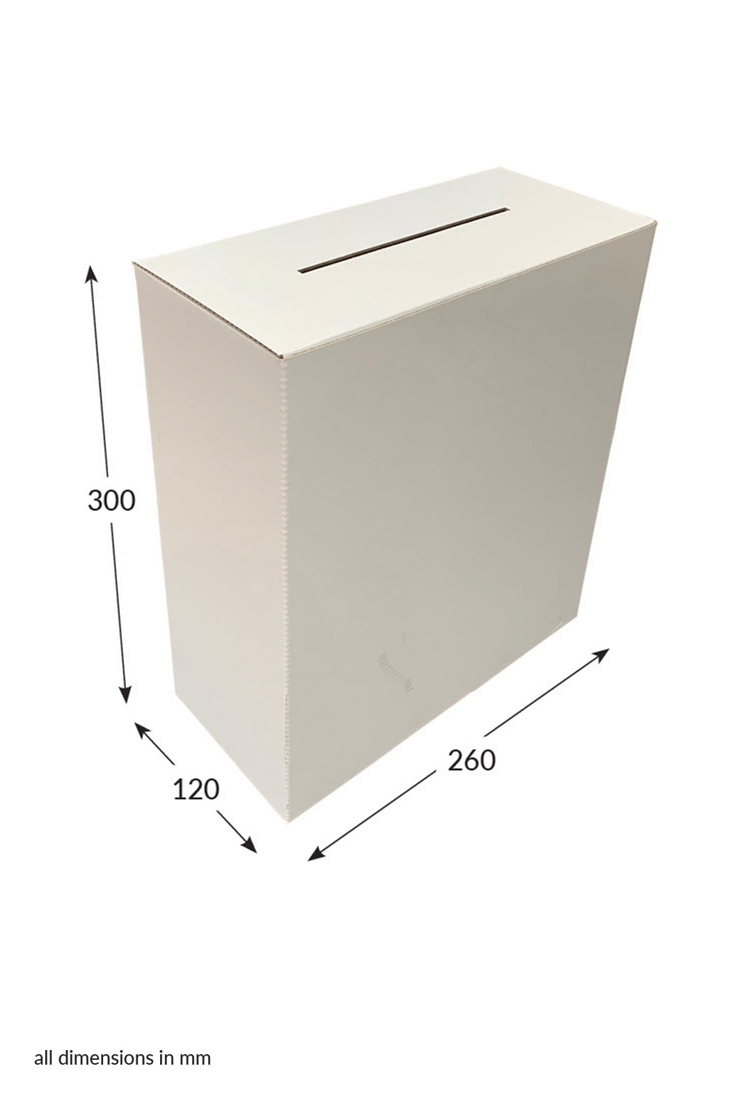 Featured image for “Ballot Box Large-Unprinted”
